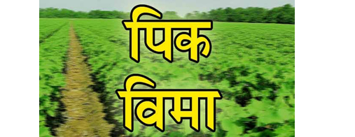 एक रुपया विम्याचा फटका! One rupee insurance hit!