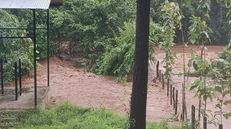 दाणोली गावठण परिसरात ढगफुटी सदृश्य पाऊस