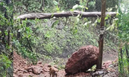 रत्नागिरी सिंधुदुर्गला वादळीवाऱ्यासह मुसळधार पावसाचा तडाखा Ratnagiri Sindhudurg with stormy rain
