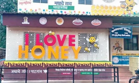 सर्वोत्कृष्ट ग्रामीण ‘पर्यटन व्हिलेज’ पाटगांव देशाच्या नकाशावर Best Rural 'Tourist Village' Patgaon on the map of the country