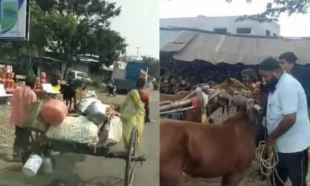 लुबाडलेल्या गरीब जोडप्याला मदतीचा हात; सामाजिक कार्यकर्त्याने जपली माणूसकी A helping hand to a destitute poor couple; A social worker preserves humanity