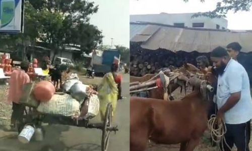 A helping hand to a destitute poor couple; A social worker preserves humanity