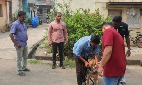 Elderly killed in Subhashnagar