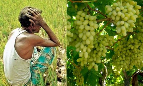 सोनी येथील शेतकऱ्याला 25 लाखांचा गंडा fraud with farmer