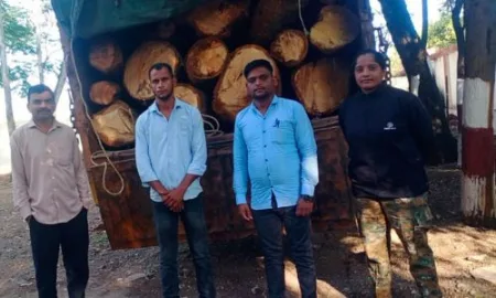 Forest department takes strict action against illegal timber smugglers