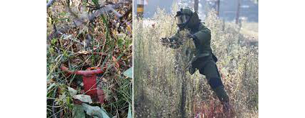 Terrorist attack plot foiled in Kashmir