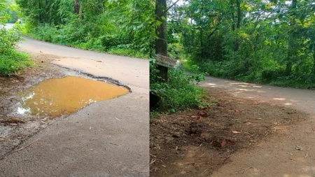 अखेर कारिवडे – चराठा मार्गावरील ‘तो’ भला मोठा खड्डा बुजविला