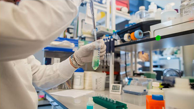 लक्ष्मी ऑरगॅनिकचा समभाग 13 टक्के वधारला Shares of Lakshmi Organic gained 13 percent