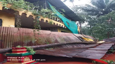 तांबोळी -वरचीवाडीत देसाई कुटुंबियांच्या अंगणात माड कोसळल्याने नुकसान