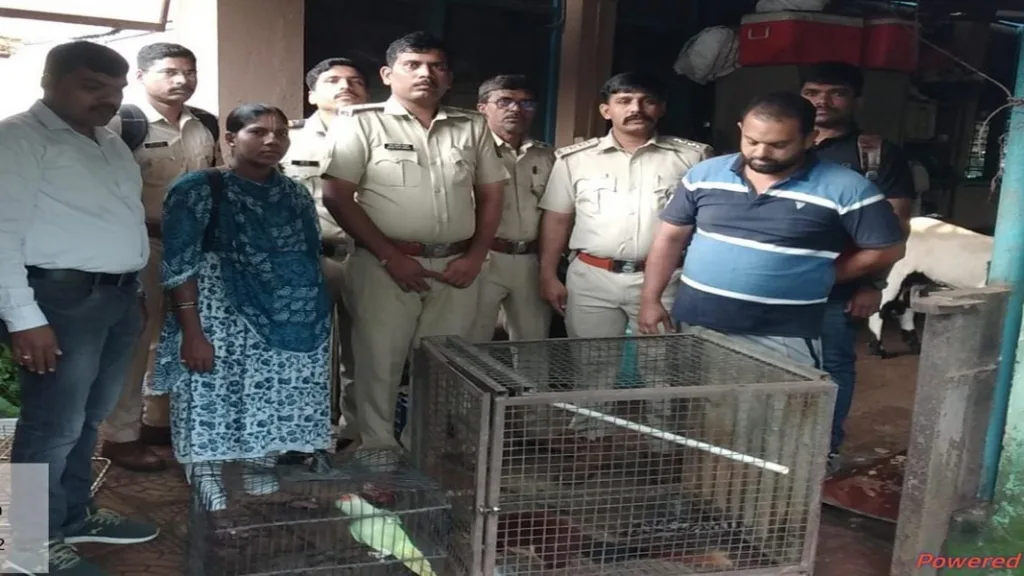 पोपट व शेकरू यांना पिंजऱ्यात बंदिस्त ठेवल्याप्रकरणी सावंतवाडीतील एकावर कारवाई