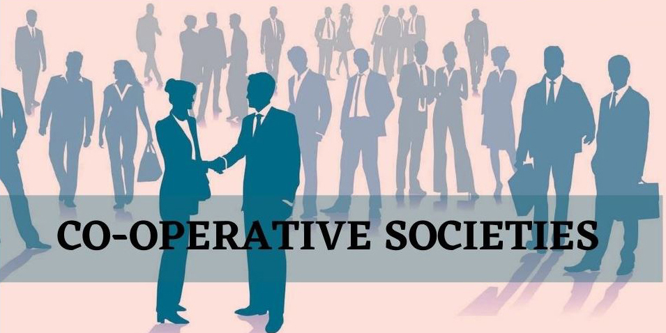 Reasons for painful failure of co-operative movement