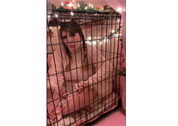 A young woman sleeps in a dog's cage