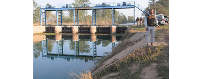 Don't do politics, don't think above the law