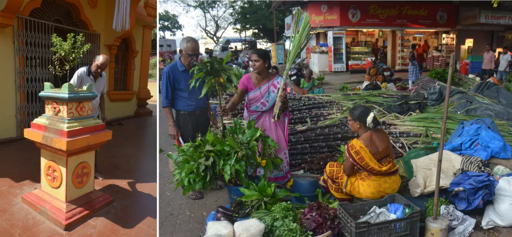 Preparing for Tulsi marriage