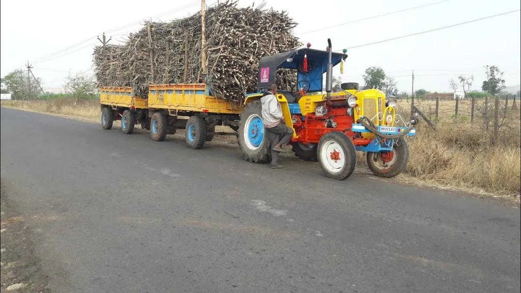 Transportation of hazardous sugarcane on various routes