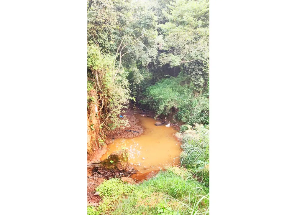 The water in Markandeya river should be released and the drains should be filled