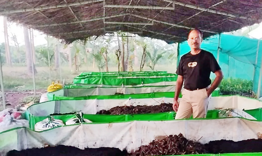 A bumper crop of bananas in ten months