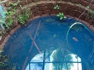 Pet is taking well water at Matve!