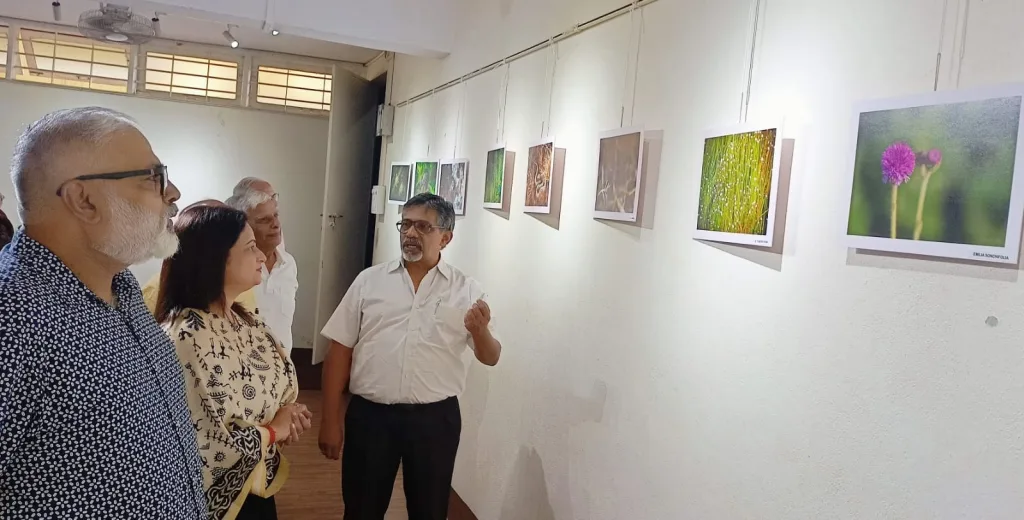 An opportunity for Belgaumans to see the beauty of wild flowers on Kas Plateau