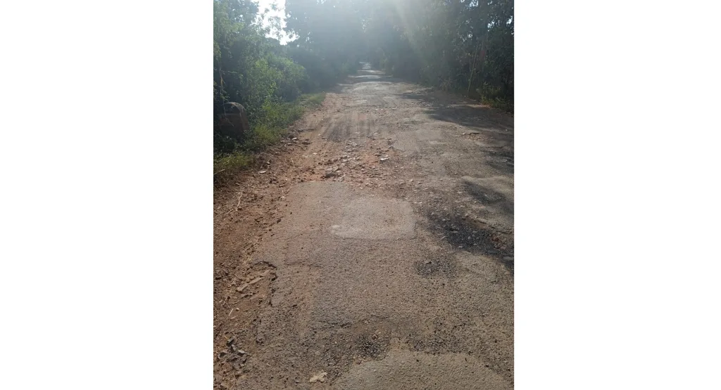 शेडेगाळी क्रॉस-मणतुर्गा रस्ता दुरुस्त करण्याची नागरिकांची मागणी Citizen's demand for repair of Shedegali Cross-Manturga road