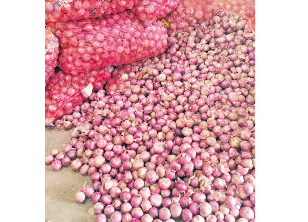 कांदा दरात 600 रुपयांची घसरण : बटाटा, रताळी दर स्थिर Onion price falls by Rs 600 : Potato, sweet potato prices stable