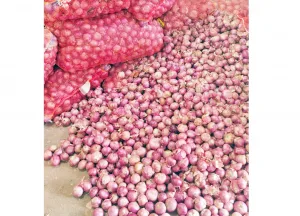 Onion price falls by Rs 600 : Potato, sweet potato prices stable