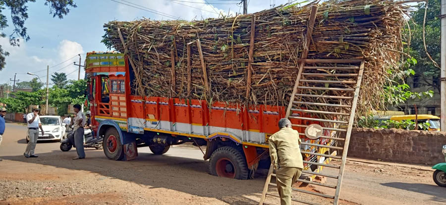 चरीमध्ये अडकला ऊस वाहतूक करणारा ट्रक