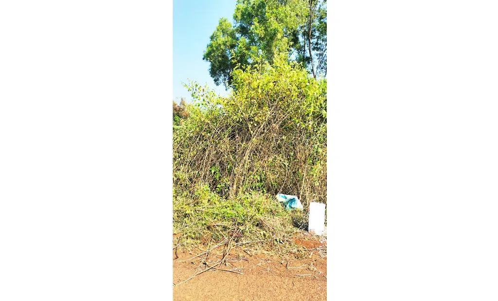 Facilitate repair works of Bijgarni-Karle roads