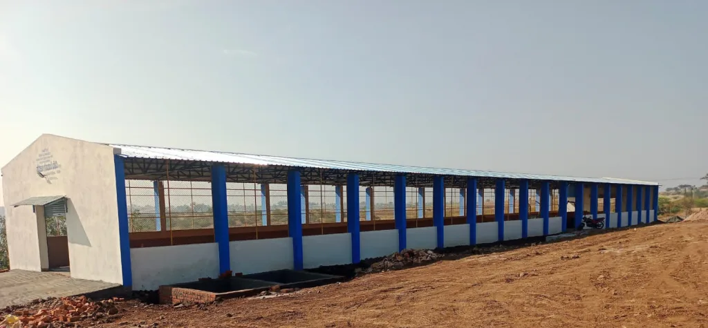 Awaiting government cow-school animals