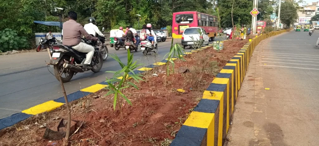 अधिवेशनासाठी दुभाजकांवर वृक्षारोपण Plantation on dividers for convention