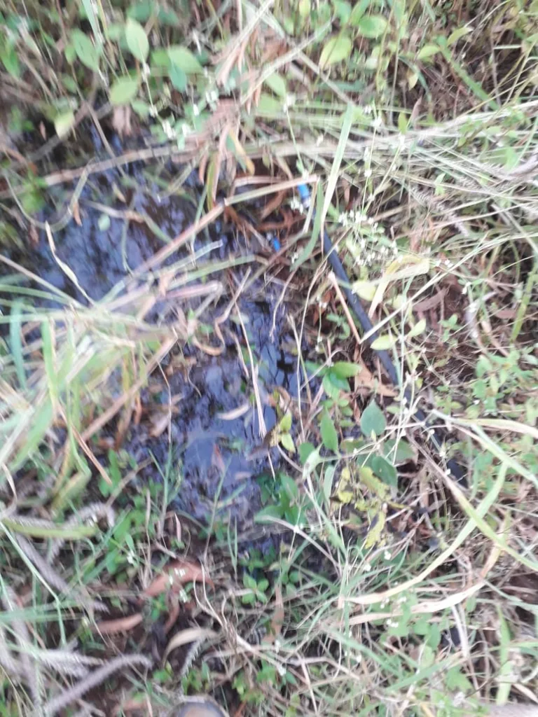 Cheeks to the beauty of the vaccine depot area