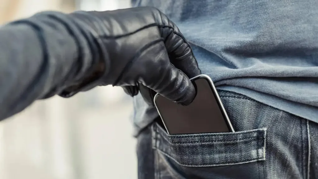 राज्योत्सव मिरवणुकीत मोबाईल चोरट्यांचा उत्सव Celebration of Mobile Thieves in Rajyotsav Procession