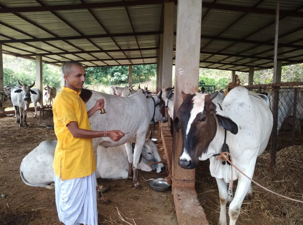 Conduct of Vasubaras with great reverence