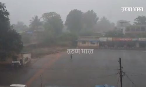 राधानगरी धरण पाणलोट क्षेत्र आणि शहरात जोरदार पाऊस, कापणीला आलेल्या पिकांचे नुकसान Radhanagari dam