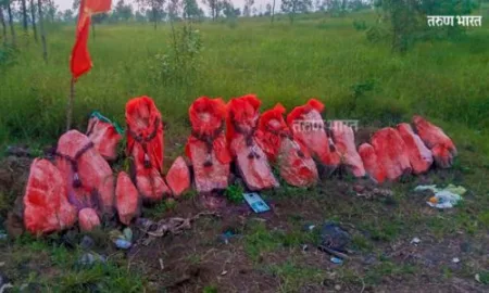 Borivade Fearing farmers