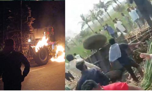 कोल्हापूरात स्वाभिमानी आक्रमक! ट्रॅक्टर पेटवले, ऊस तोडण्या थांबवल्या!