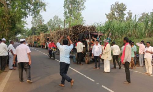 शाहूवाडी तालुक्यात स्वाभिमानी शेतकरी संघटना आक्रमक! ‘विश्वास साखर’ला जाणारा ऊस रोखला