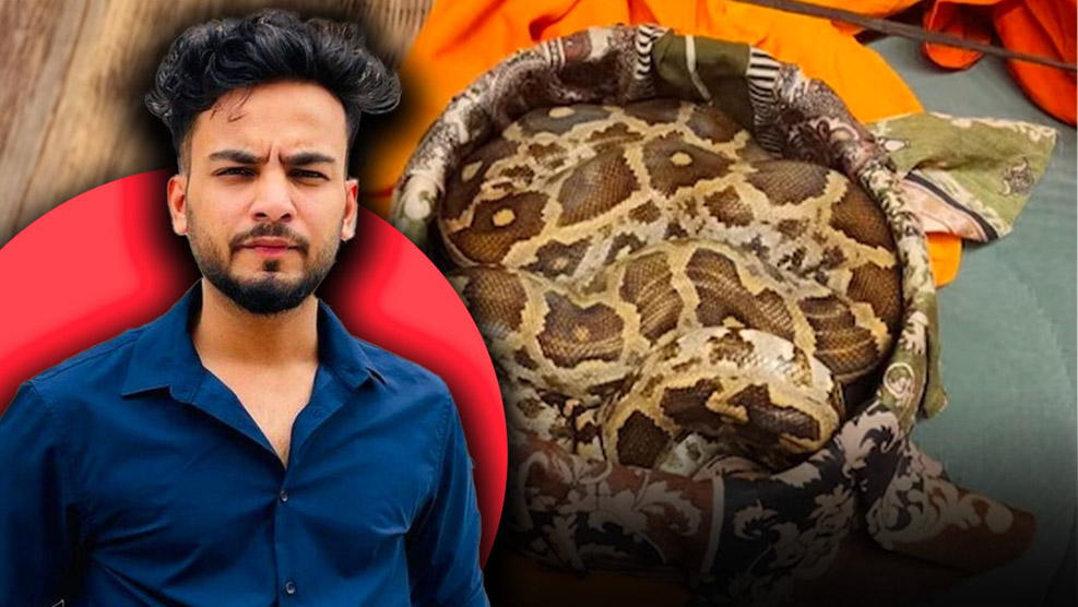 बिग बॉस विजेता एल्विशवर सर्प तस्करीचा आरोप Bigg Boss winner Elvis accused of snake smuggling