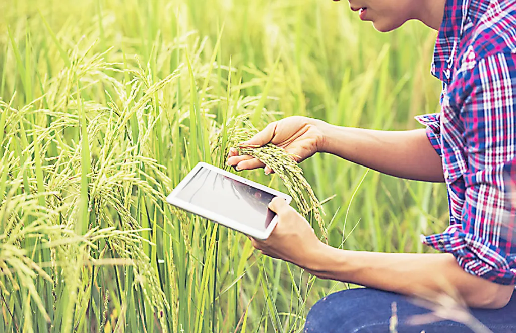 Vigorously collect information from agriculture