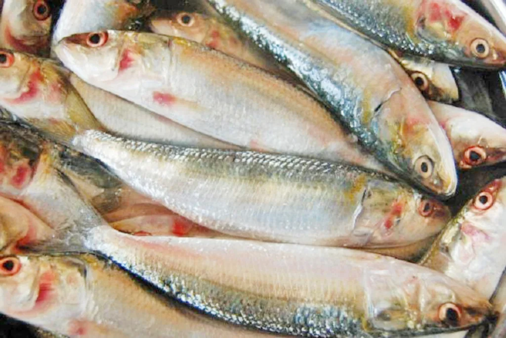 Bangde are cheaper than turdali, the arrival of bangdes increased