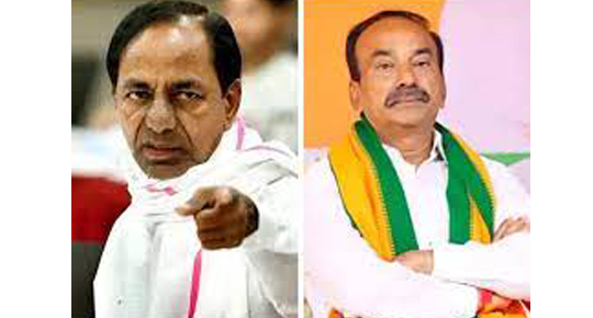 दिग्गजांना सतावतेय पराभवाची भीती The veterans are haunted by the fear of defeat