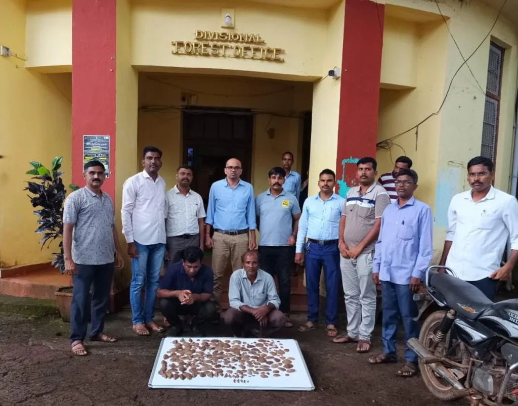 सावंतवाडीत खवले मांजराच्या खवल्यांच्या तस्करी प्रकरणी दोघांना अटक