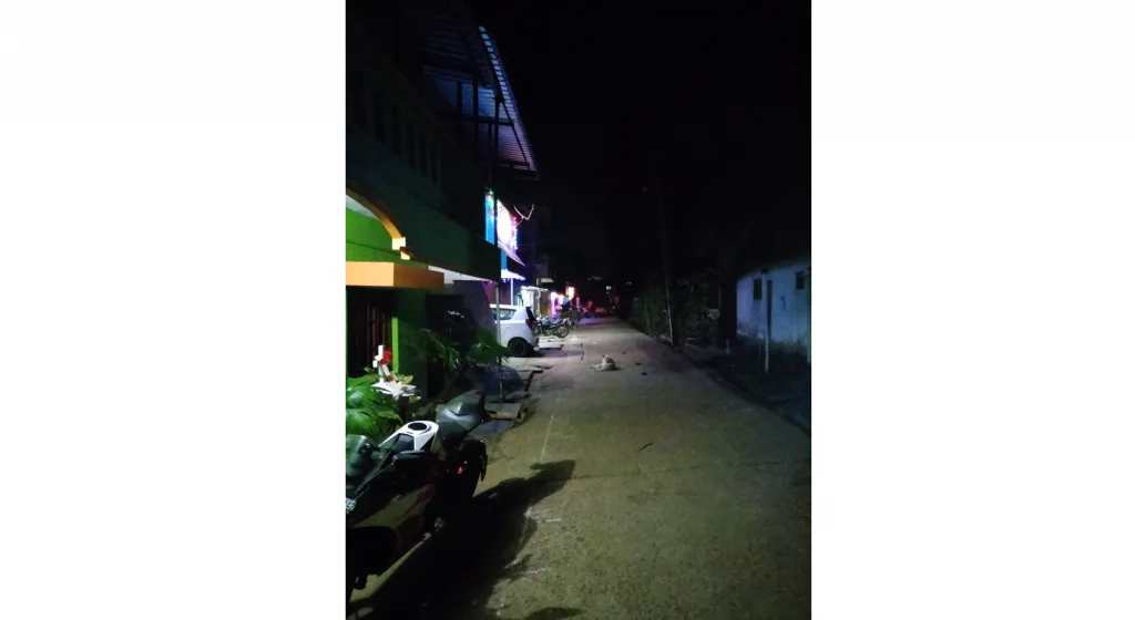 गुंजीतील बंद पथदीप सुरू करण्याची मागणी Demand to start steetlights in Gunji