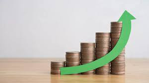 निप्पॉन इंडियाचा 19 टक्के परतावा Nippon India returns 19 percent