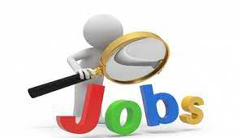 Employment increased in the organized sector