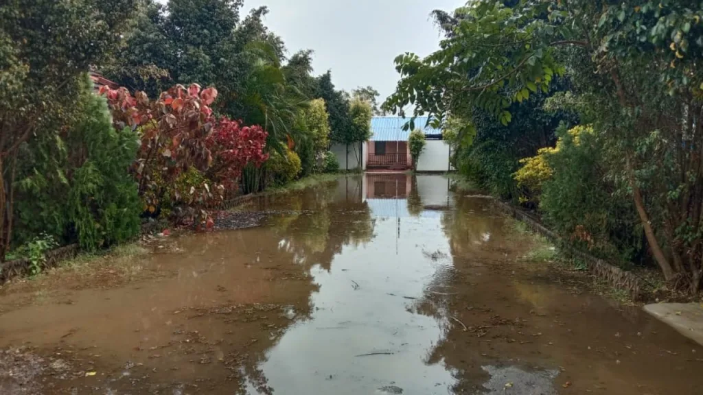 मिरज तालुक्यात विजांच्या कडकडाट व वाऱ्यासह मुसळधार पावसाची हजेरी