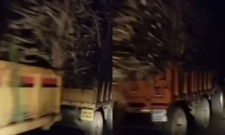 A hundred trucks of sugarcane were stopped overnight