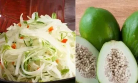 केवळ पिकलेलीच नाही तर कच्ची पपईही आरोग्यासाठी खूप फायदेशीर raw papaya is very beneficial for health