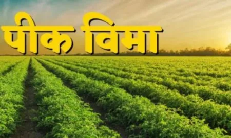 Farmers' fury in central-state government dispute