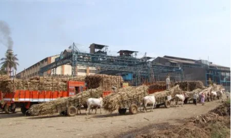 A trial audit of Bidri Sugar Factory will be conducted